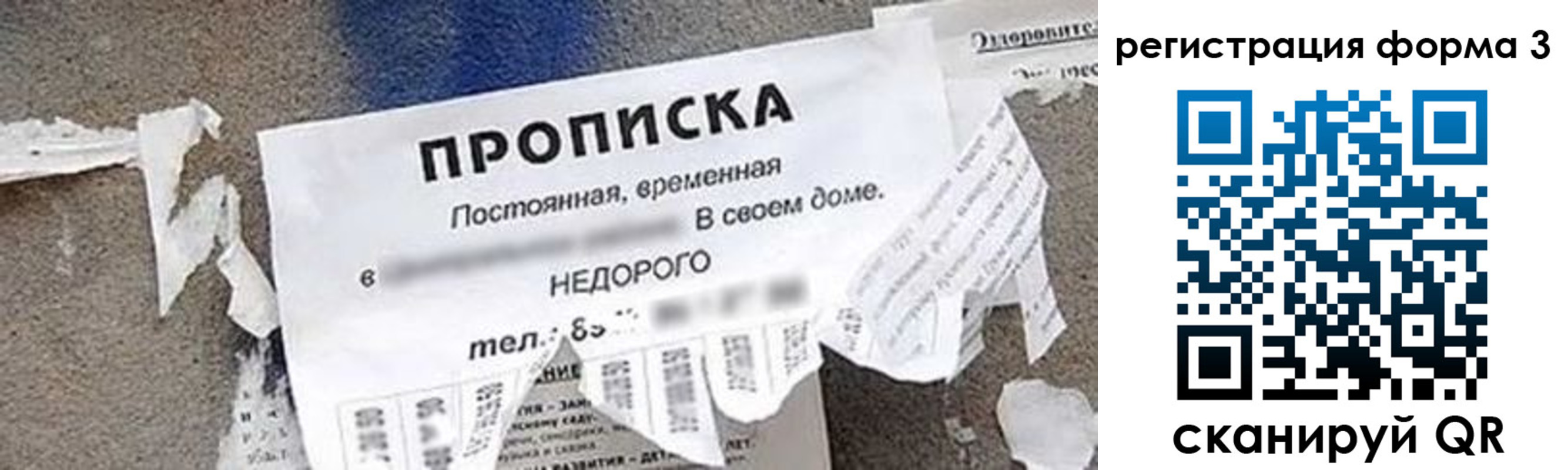 регистрация для школы в Снежногорске